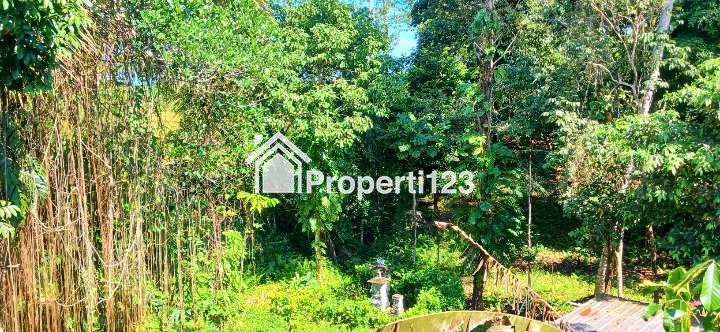 Rumah Leasehold Di Selemadeg Tabanan Bali - 4