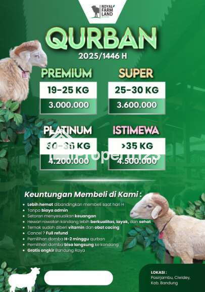 ROYAL FARM LAND CIWIDEY - 3