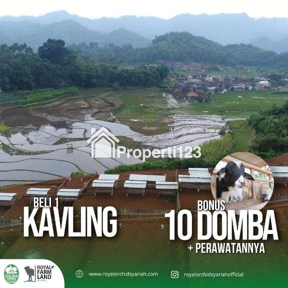 ROYAL FARM LAND CIWIDEY - 2