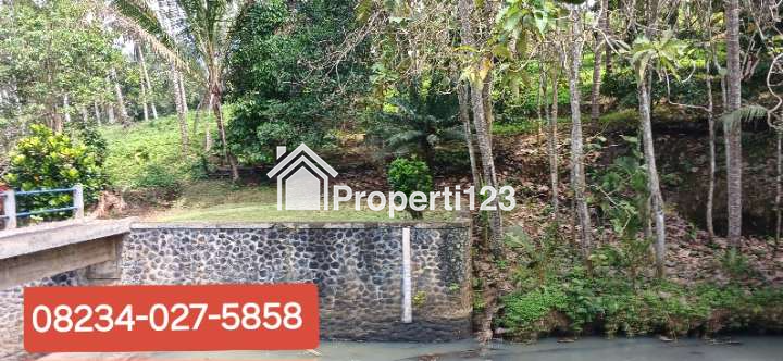 Dijual Tanah 90 Are Di Manikyang Selemadeg Tabanan Bali - 1