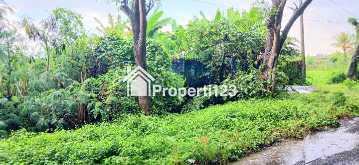 Dijual Tanah 2484 m2 Jl Ida Bagus Mantra Dawan Klungkung Bali - 3