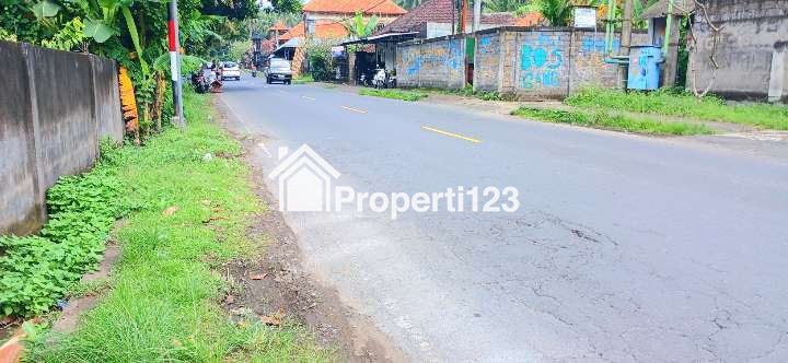 Disewakan Tanah 1060 m2 Jl Ulakan - Karangasem Antiga Manggis Bali - 2
