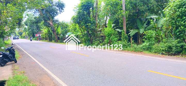 Dijual Tanah 1700 m2 Jl Antiga - Padangbai Manggis Karangasem Bali - 4