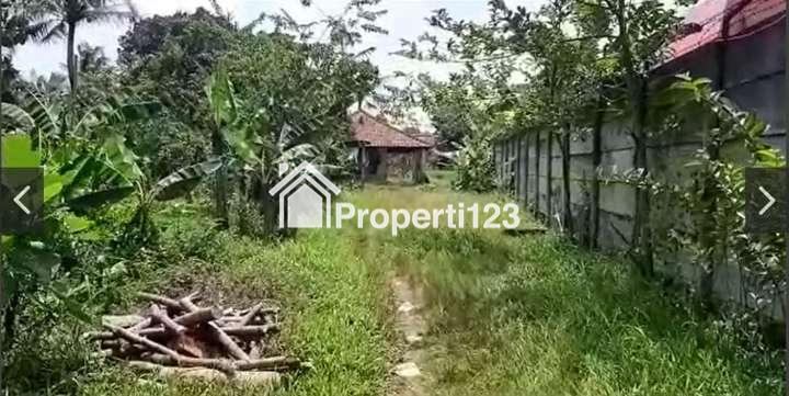 TANAH DI PINGGIR JALAN DEKAT POLITEKNIK SIBER DAN SANDI NEGARA DI CISEENG BOGOR - 3