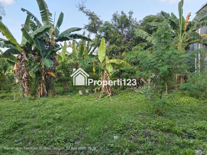 Tanah Sangat Strategis Di Klipang Semarang Dekat Rs Wongsonegoro - 3