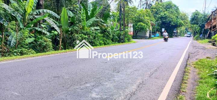 Disewakan Tanah 1500 m2 Jl Padangbai Antiga Manggis Karangasem Bali - 3