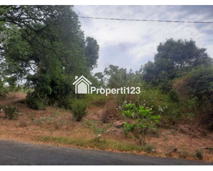 Dijual Tanah 9,25 Hektar Di Kubutambahan Buleleng Bali - 2
