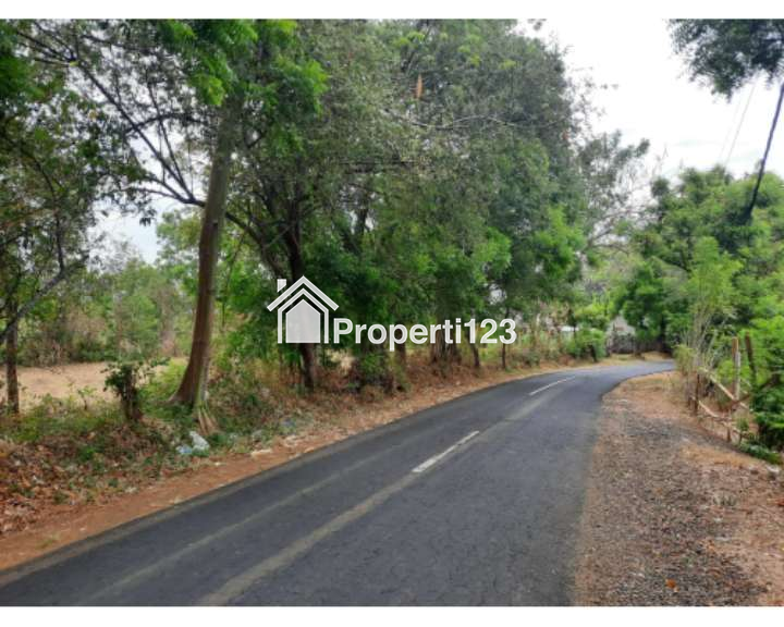 Dijual Tanah 9,25 Hektar Di Kubutambahan Buleleng Bali - 4