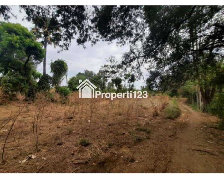 Dijual Tanah 9,25 Hektar Di Kubutambahan Buleleng Bali - 3