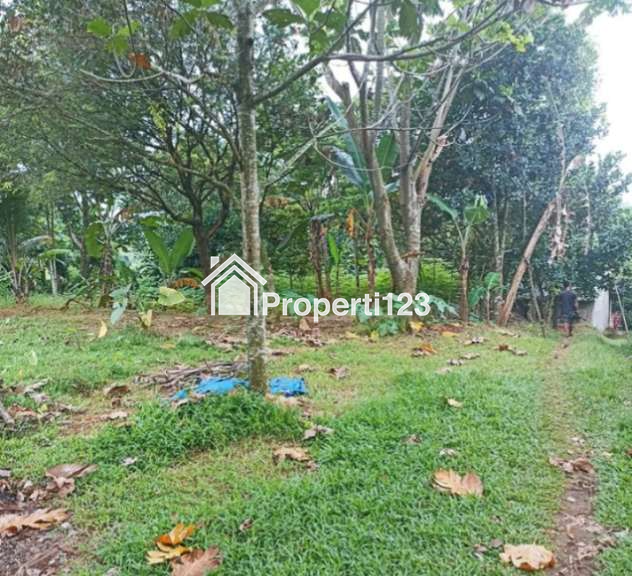 Tanah di jalan raya Jampang Kalisuren Bogor - 7