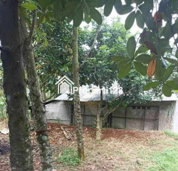 Tanah di jalan raya Jampang Kalisuren Bogor - 6