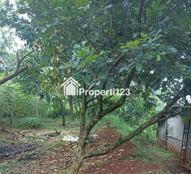 Tanah di jalan raya Jampang Kalisuren Bogor - 5