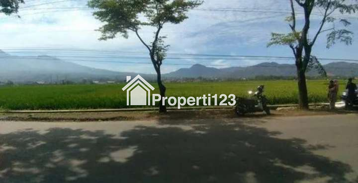 Tanah mainroad harga murah - 2