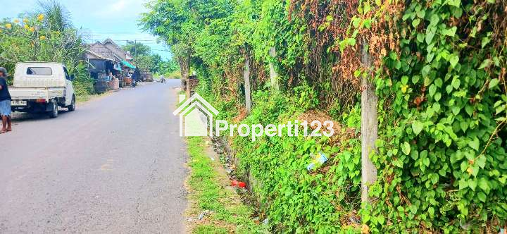 Disewakan Tanah 5480 m2 Jl Sekar Sari Dkt Sanur Renon Denpasar Bali - 3