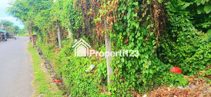 Disewakan Tanah 5480 m2 Jl Sekar Sari Dkt Sanur Renon Denpasar Bali - 4