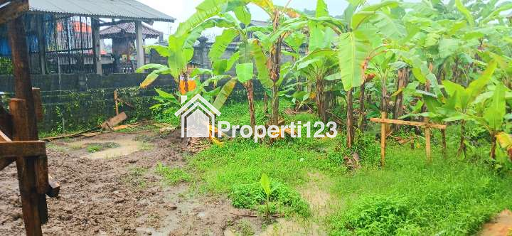 Disewakan Tanah 1000 m2 Di Kapal Mengwi Badung Bali - 2