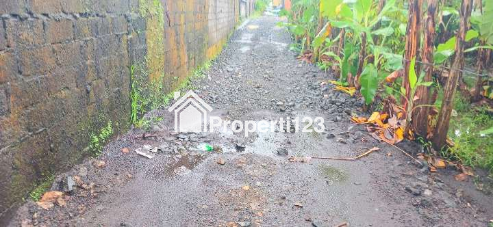 Disewakan Tanah 1000 m2 Di Kapal Mengwi Badung Bali - 4