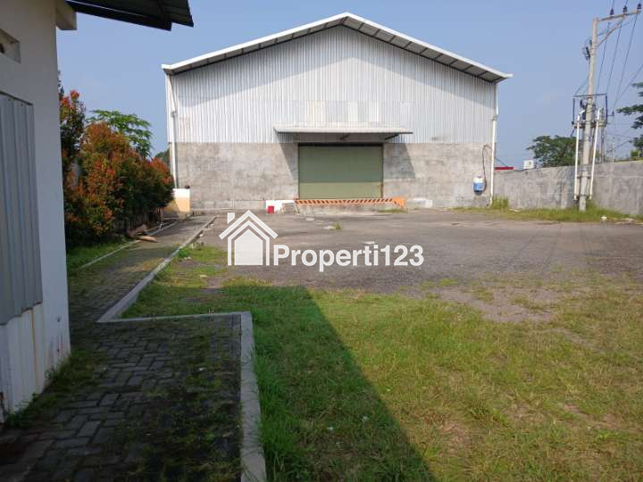 Di sewakan gudang di delanggu klaten - 4