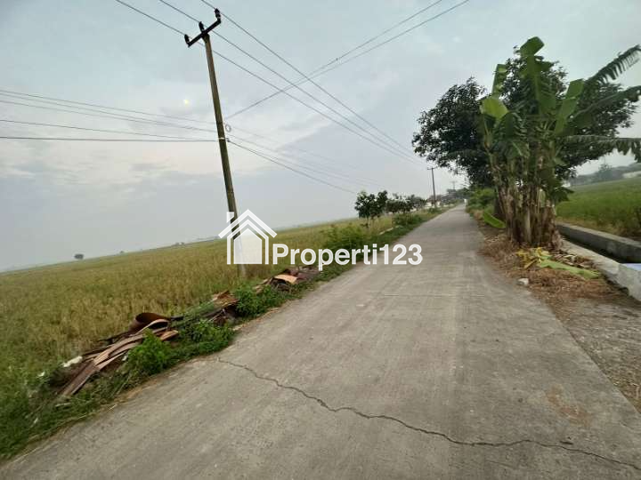 Tanah sawah produktif pinggir jalan di Banyusari Karawang - 1