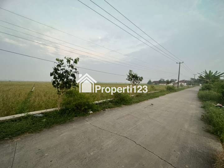 Tanah sawah produktif pinggir jalan di Banyusari Karawang - 2