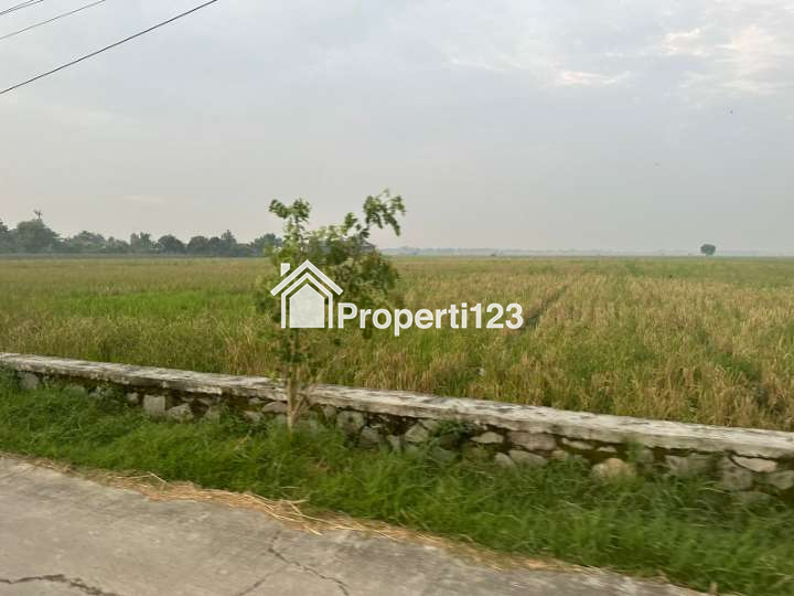 Tanah sawah produktif pinggir jalan di Banyusari Karawang - 3