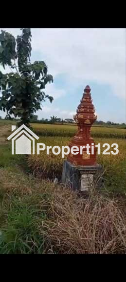 Di jual tanah zona industri di delanggu klaten - 2