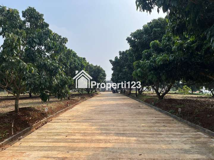 Jual Tanah Murah Banget Hanya 40 Juta Luas 80 Meter - 1