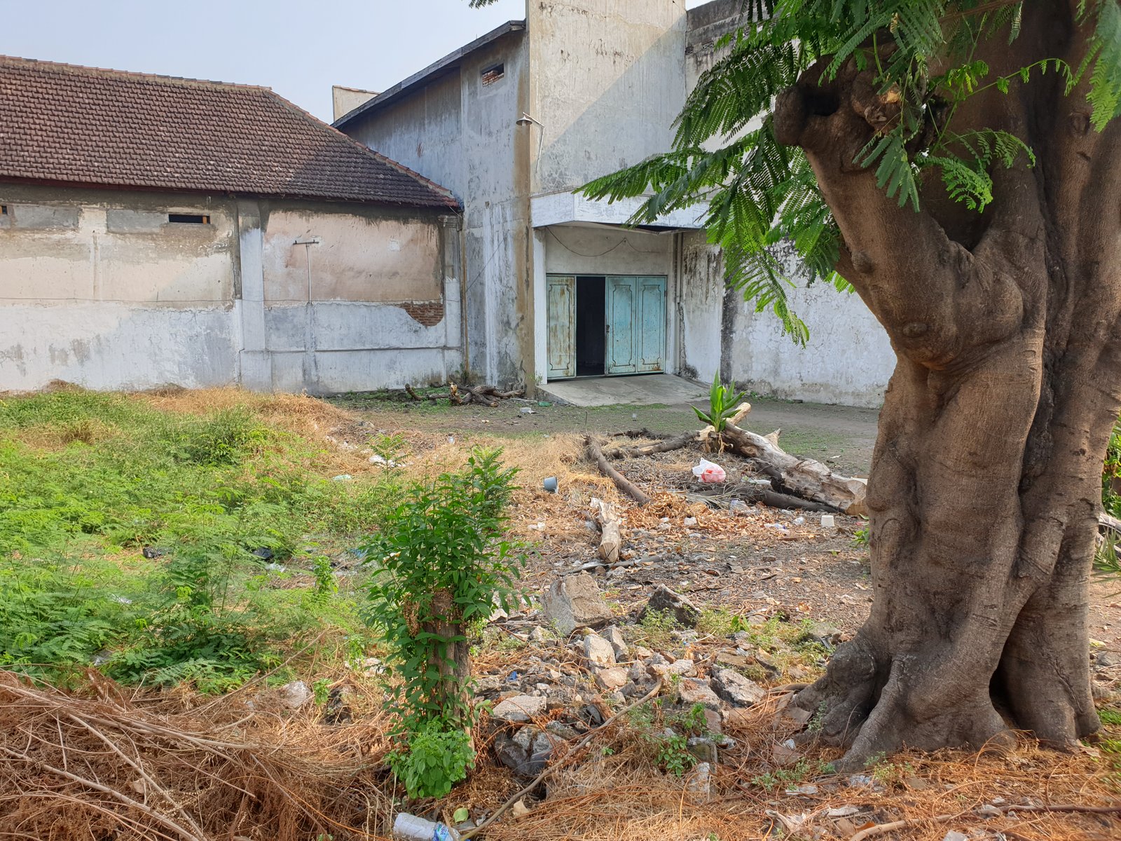 DIJUAL TANAH DI TEPI JALAN RAYA UNTUNG SUROPATI BANGIL KABUPATEN PASURUAN JATIM - 15