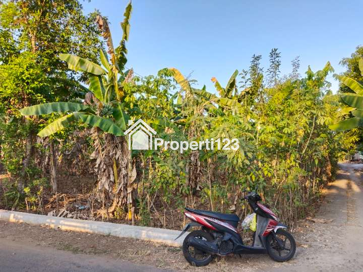 Tanah Pekarangan ditengah perkampungan - 1