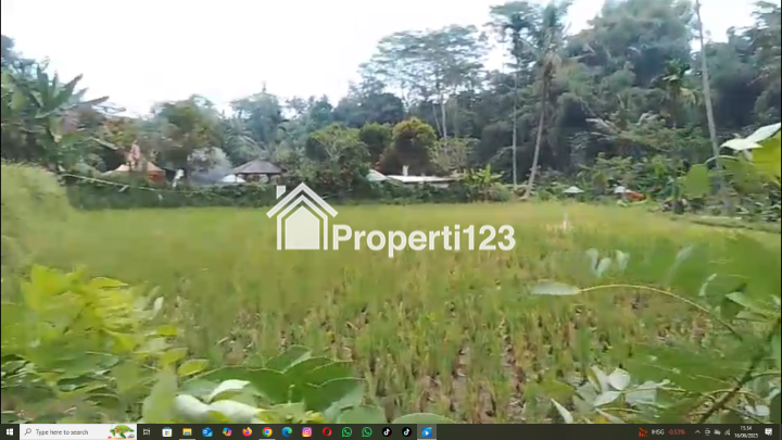 Tanah sawah ada sumber air besar di lokasinya pakis malang - 1