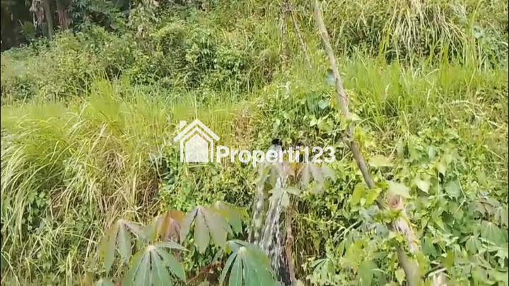 Tanah sawah ada sumber air besar di lokasinya pakis malang - 2