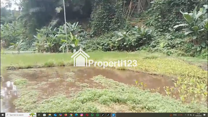 Tanah sawah ada sumber air besar di lokasinya pakis malang - 5