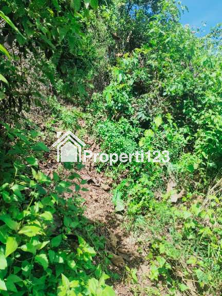 Jual Tanah (Gunung) - 3