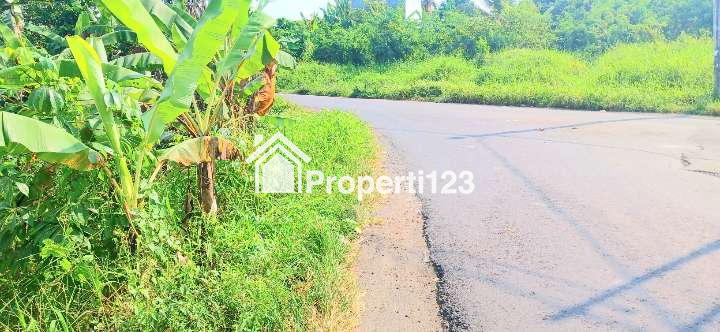 Dijual Tanah 3315 m2 Di Gubug Dkt Pantai Yeh Gangga,Kedungu Tabanan Bali - 3