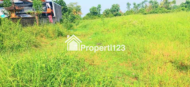 Dijual Tanah 3315 m2 Di Gubug Dkt Pantai Yeh Gangga,Kedungu Tabanan Bali - 2