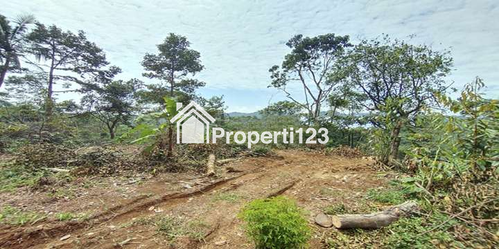 TANAH UNTUK  WISATA RESORT PERKEBUNAN PETERNAKAN DEKAT JL. CAGAK SUBANG - 2