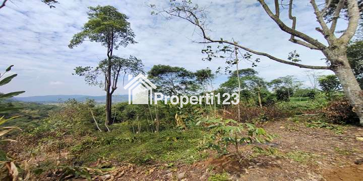 TANAH UNTUK  WISATA RESORT PERKEBUNAN PETERNAKAN DEKAT JL. CAGAK SUBANG - 3