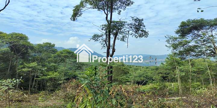 TANAH UNTUK  WISATA RESORT PERKEBUNAN PETERNAKAN DEKAT JL. CAGAK SUBANG - 1