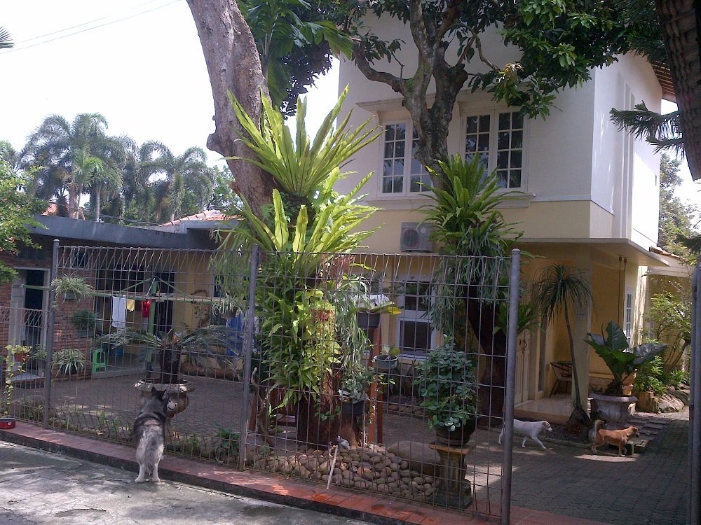 Rumah di Kebagusan Dalam, Cocok untuk Bangun Town House - 3