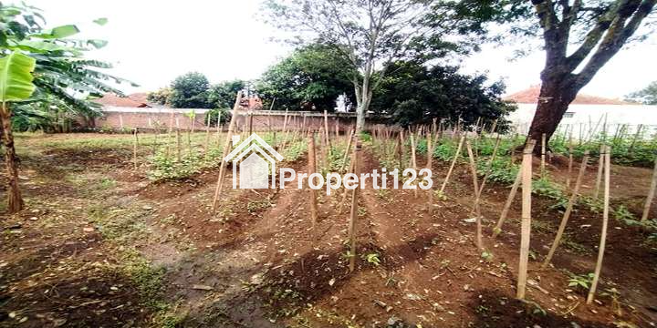 TANAH 1023 M2 BONUS RUMAH SERASA VILLA   SUASANA PEDESAAN DEKAT STASIUN WHOOSH TEGALLUAR BANDUNG - 6