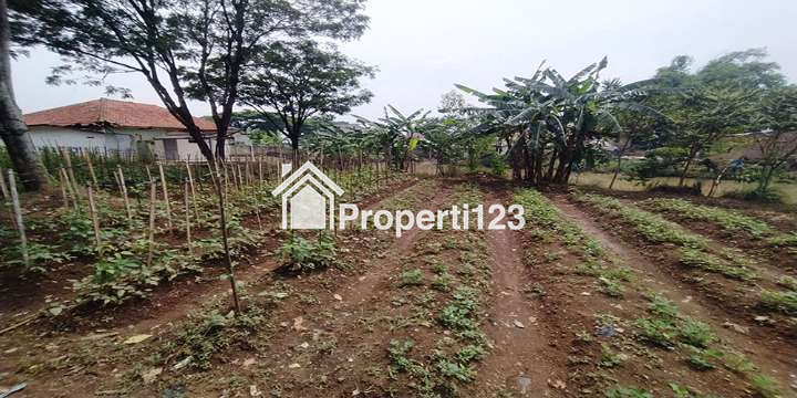 TANAH 1023 M2 BONUS RUMAH SERASA VILLA   SUASANA PEDESAAN DEKAT STASIUN WHOOSH TEGALLUAR BANDUNG - 5