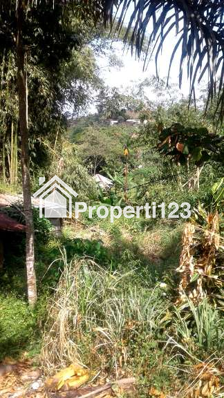 TANAH VIEW KOTA BANDUNG UNTUK RUMAH VILLA DAN KEBUN   DI UJUNG BERUNG - 4