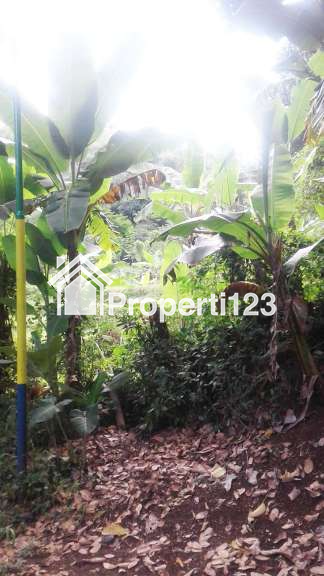 TANAH VIEW KOTA BANDUNG UNTUK RUMAH VILLA DAN KEBUN   DI UJUNG BERUNG - 3
