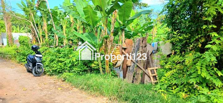 Disewakan Tanah 10 Are Jl Persada Kerobokan Dkt Bali Kiddy Bali - 4
