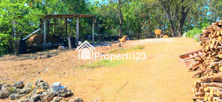 Dijual Tanah 150 m2 Di Kutuh Kuta Selatan Badung Bali - 3