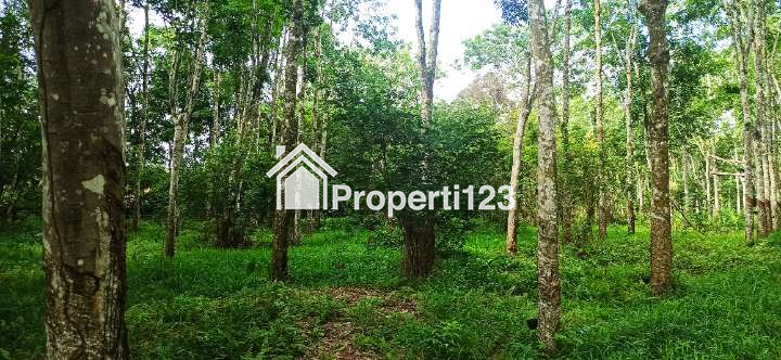 BU - Jual Tanah Murah dan Cepat Tanpa Perantara, Lokasi Strategis di Sumatera Selatan - 3