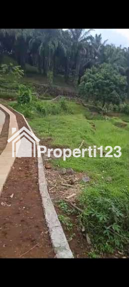 Tanah di perkebunan sawit samping sungai - 3