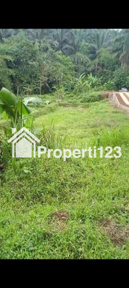 Tanah di perkebunan sawit samping sungai - 2