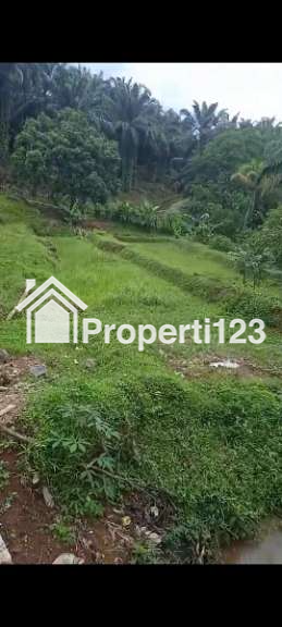 Tanah di perkebunan sawit samping sungai - 4