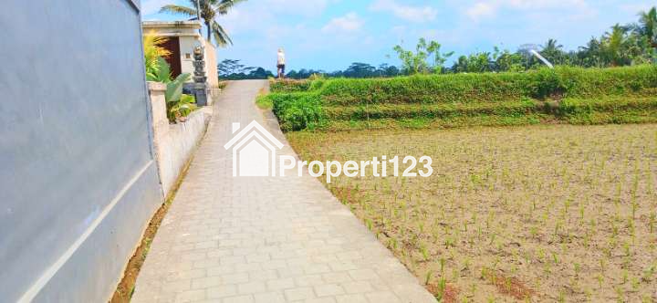 Disewakan Rumah di Tegalalang Ubud Gianyar Bali - 7